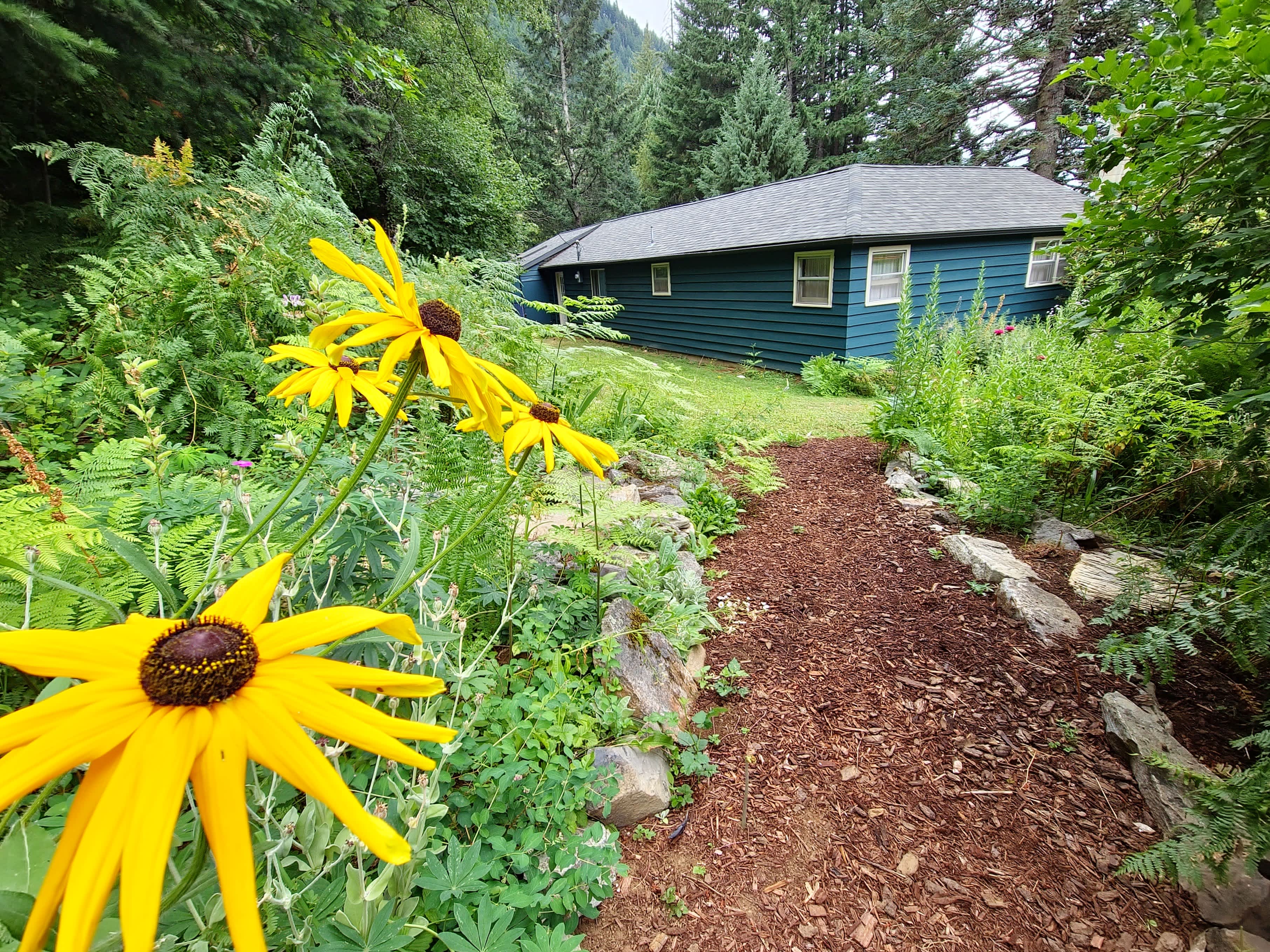 1462 Wind Mountain Road – photo 4