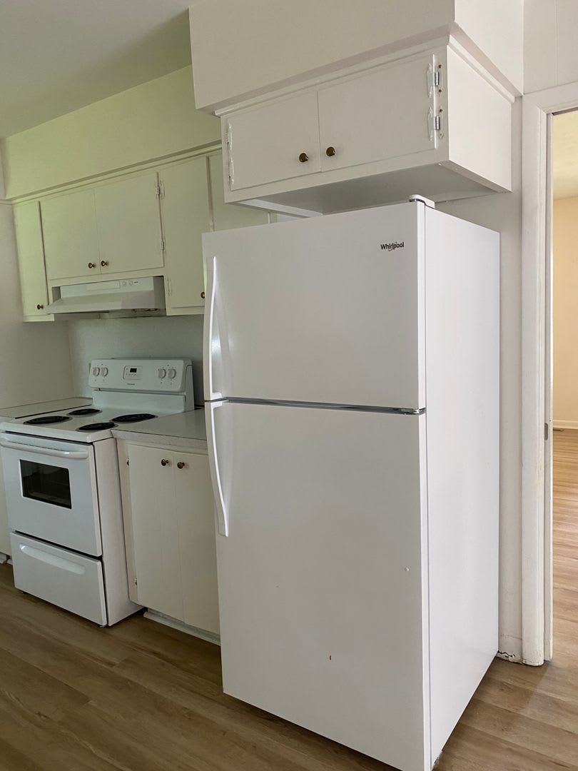 Coming Soon -Updated 4 bedroom 2 bath home – photo 4