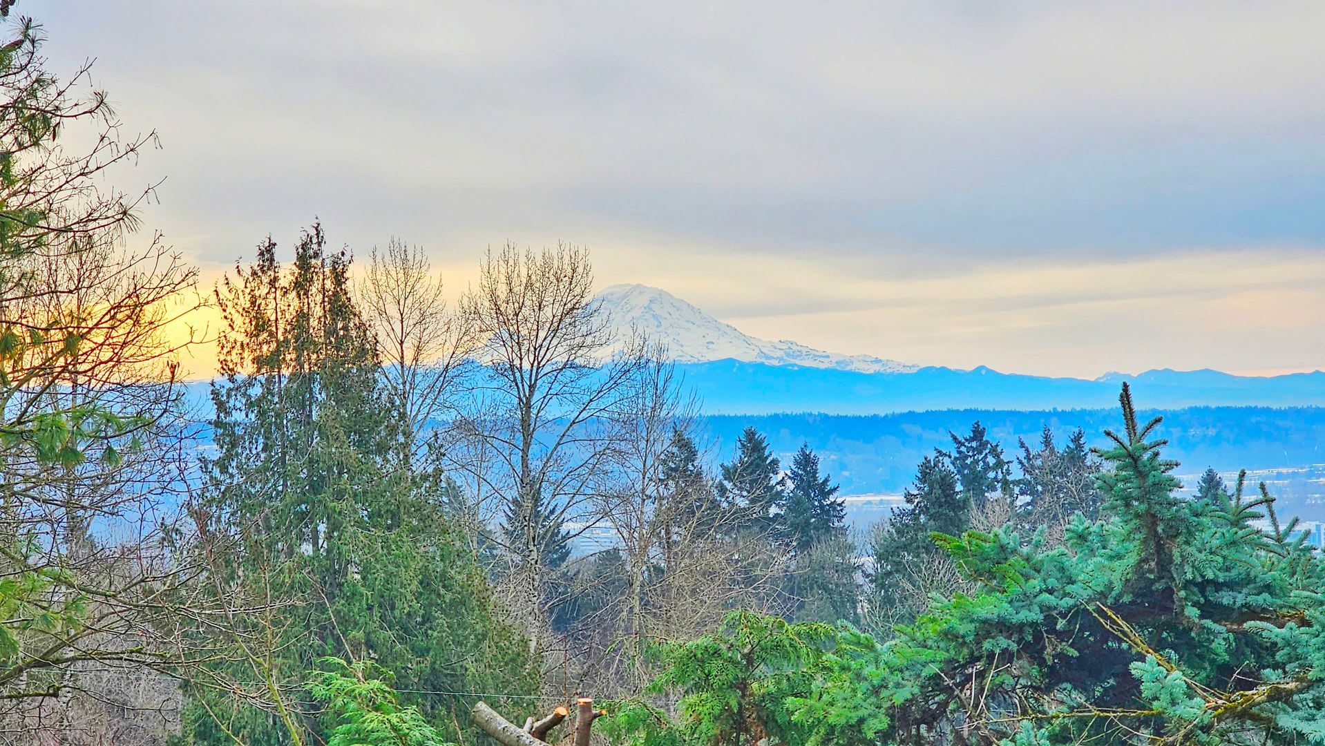 Charming 3 Bed 1.5 Bath Home in Skyway with a great view of Mt Rainier – photo 4