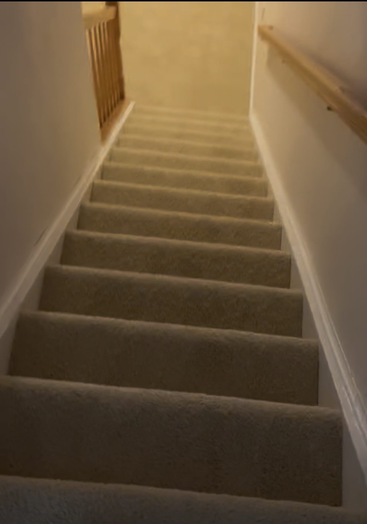 8545 Towne Manor Court – photo 3