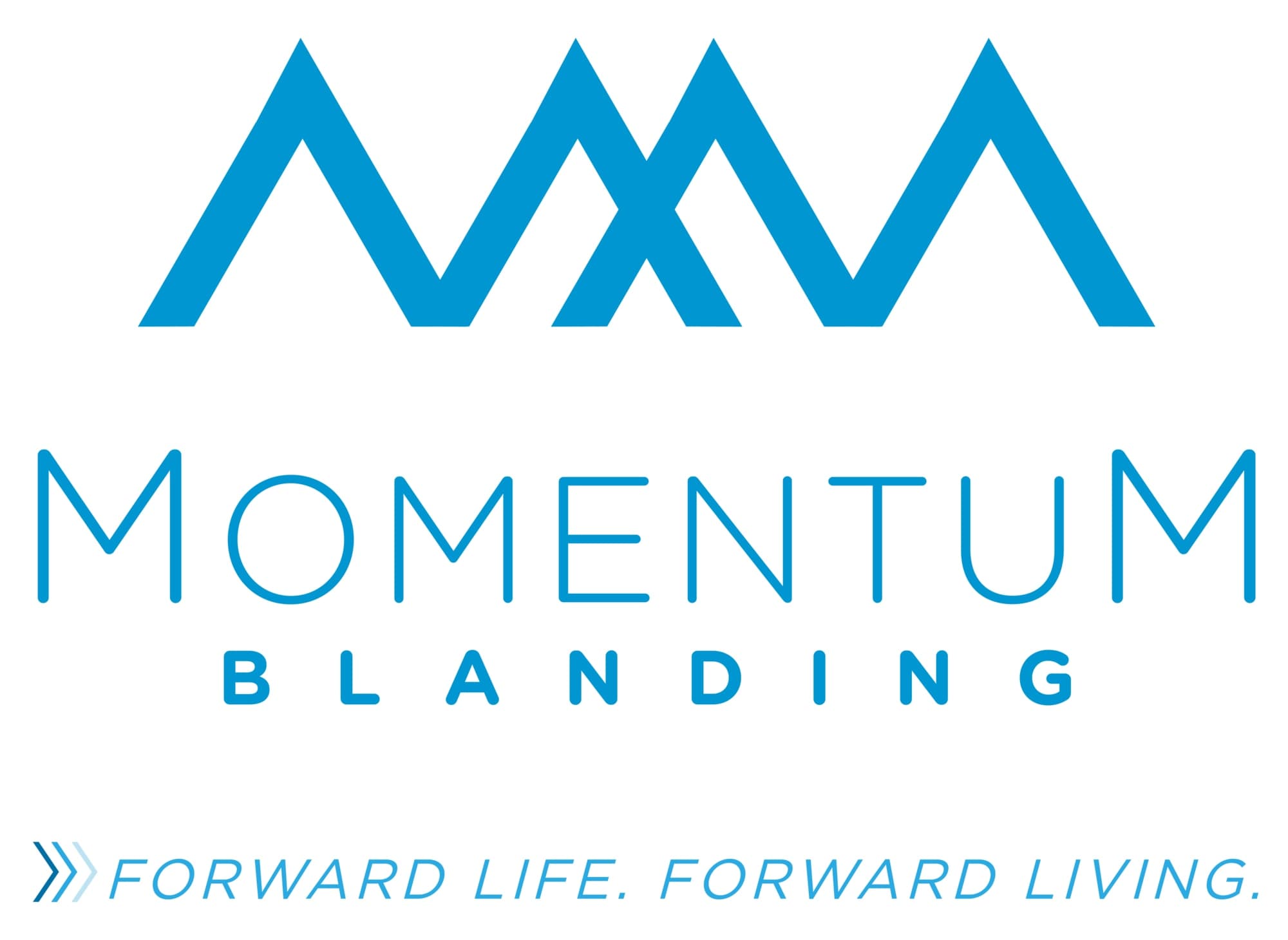 Momentum Blanding – photo 1