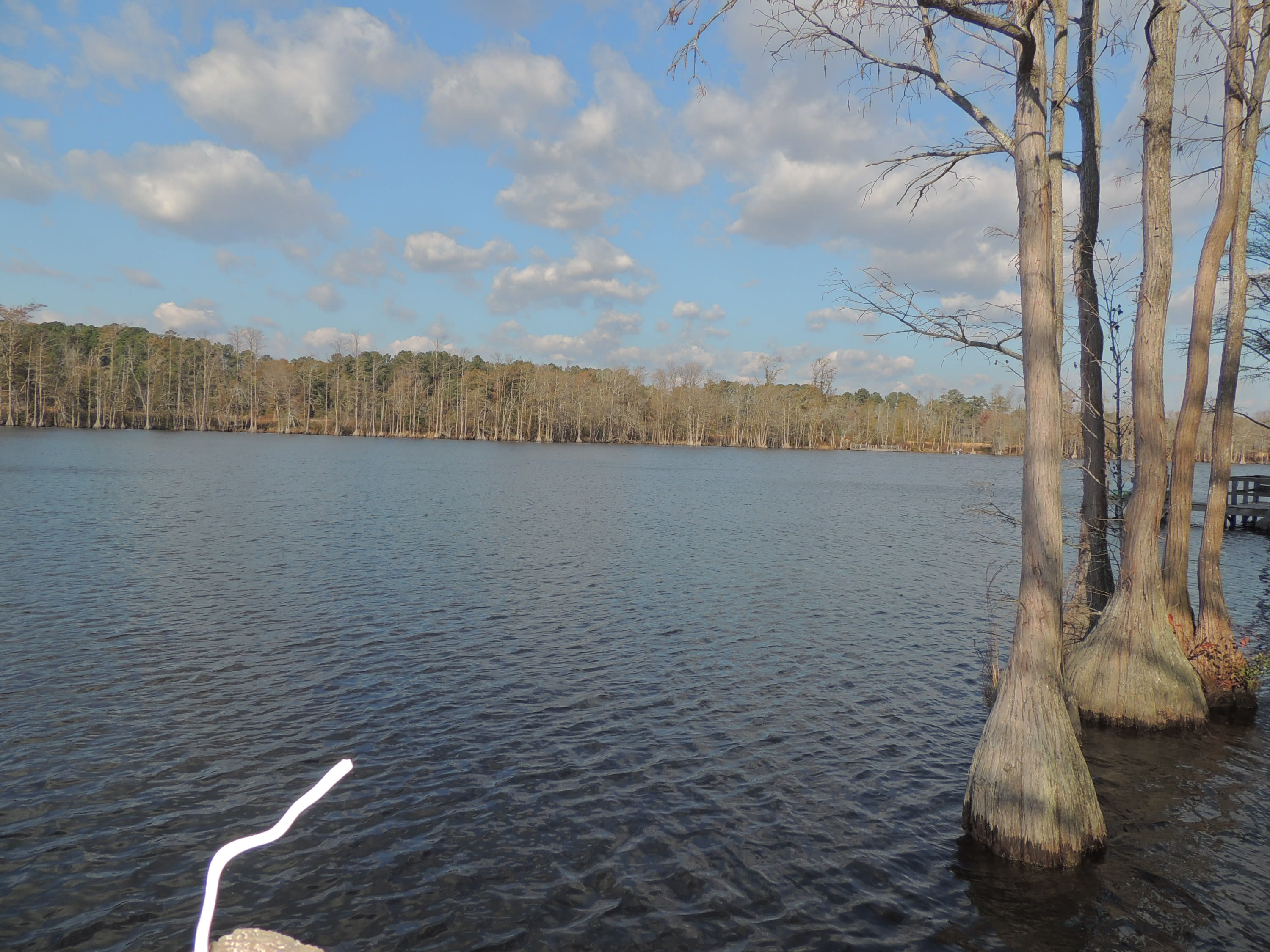 5421 Thompson Circle – photo 5