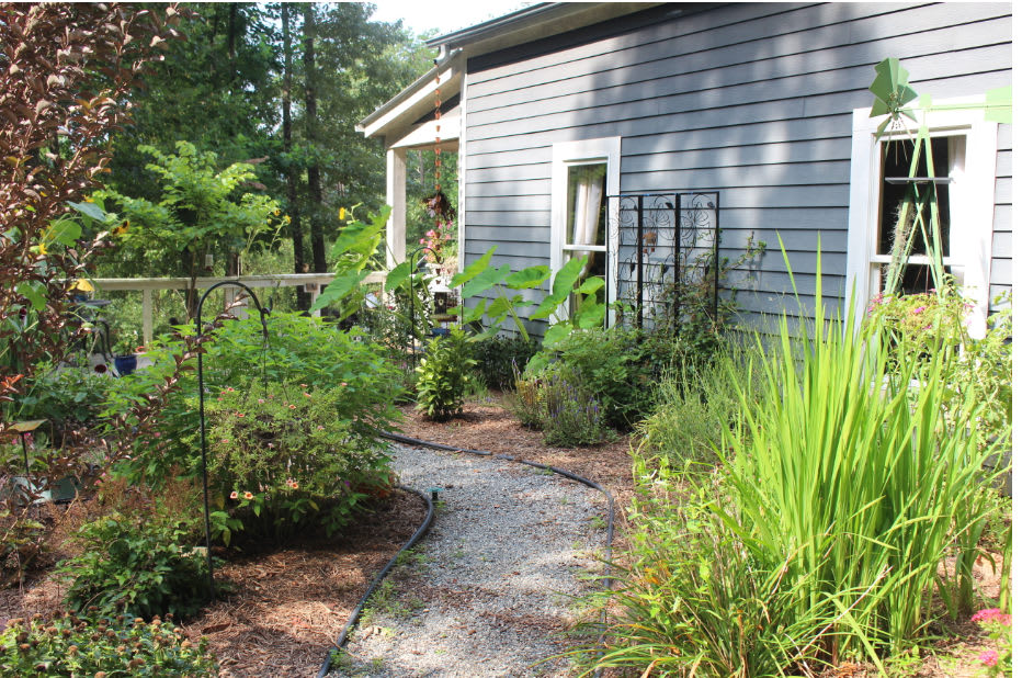 203 Lucky Horse Lane – photo 2