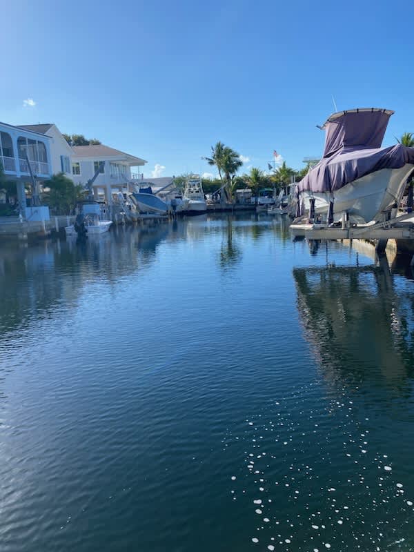 11 Flamingo Rd – photo 3