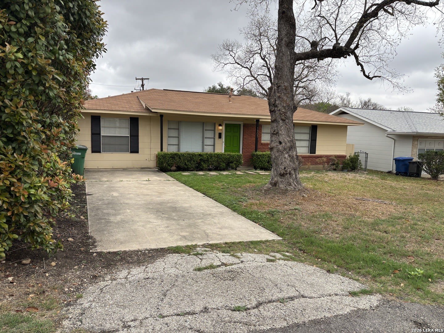 1903 Flamingo – photo 1
