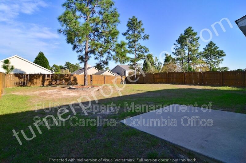 203 Summit Springs Dr – photo 5