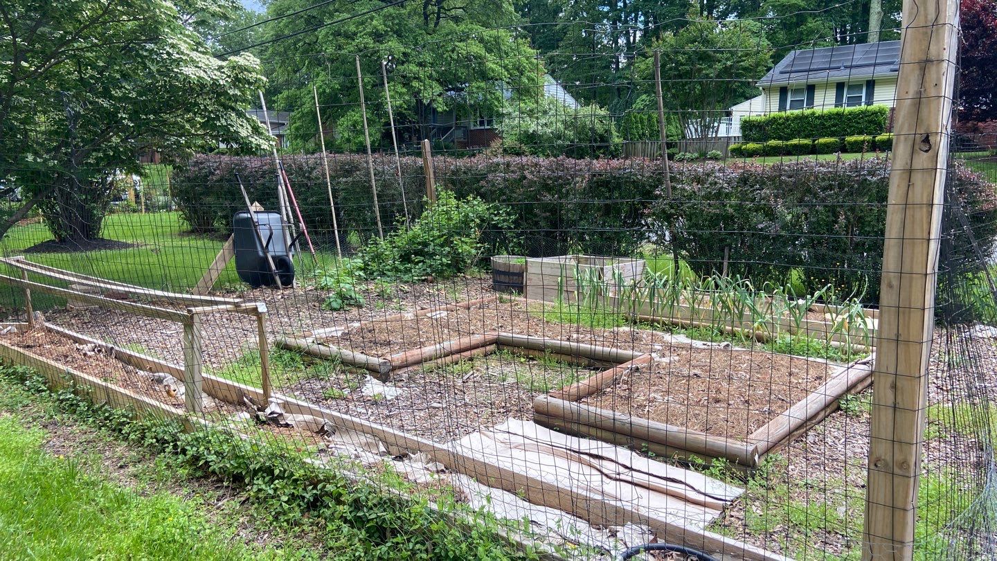 6006 Windham Rd – photo 2
