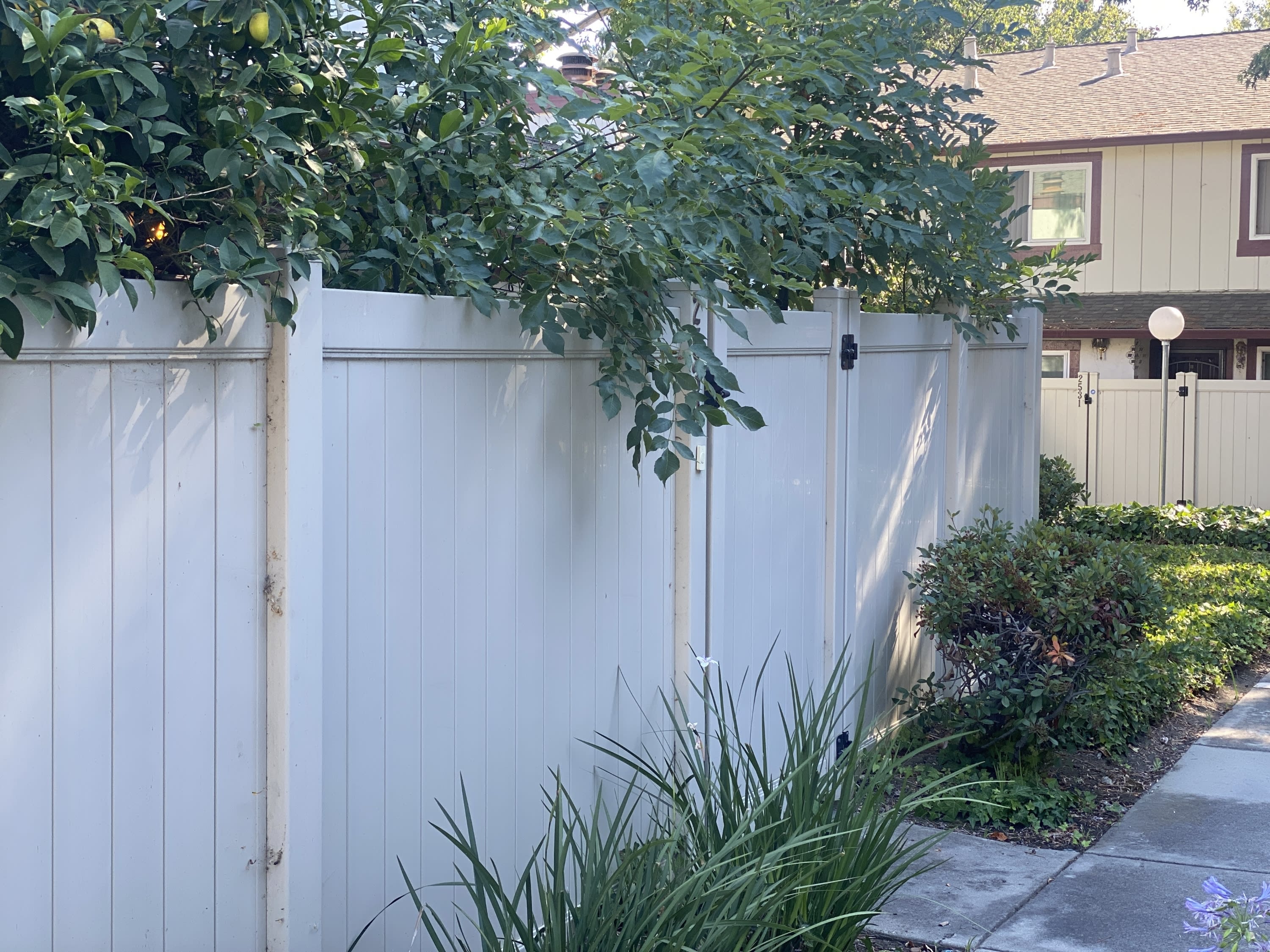 2539 Blue Rock Court – photo 2