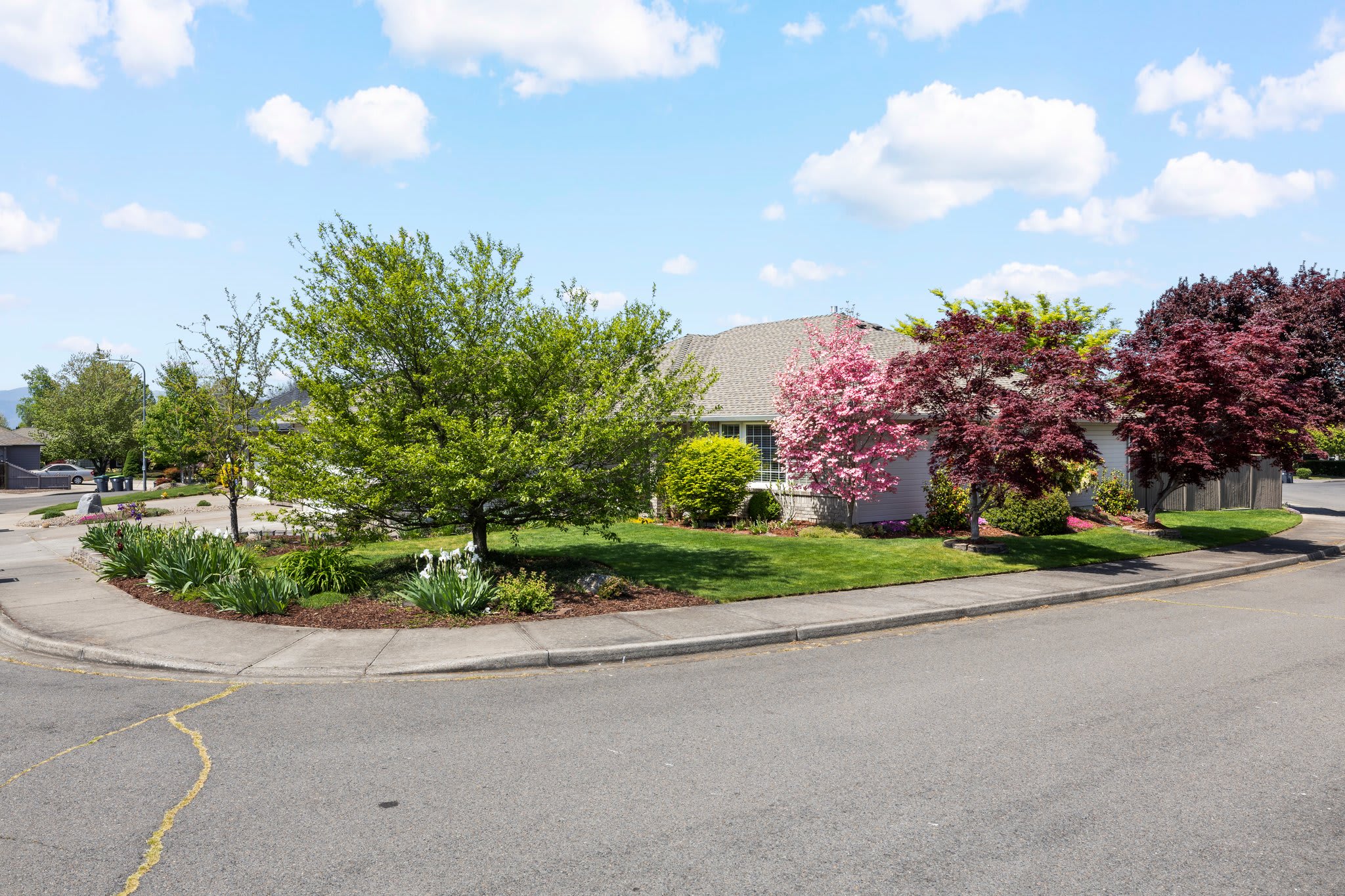 3511 Blue Blossom Drive – photo 4