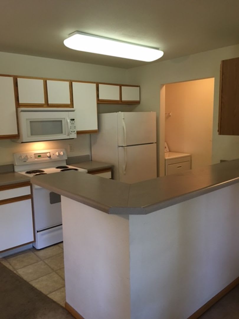 Fresh Updates + $500 Off First Month – Prime CSU Location! – photo 2