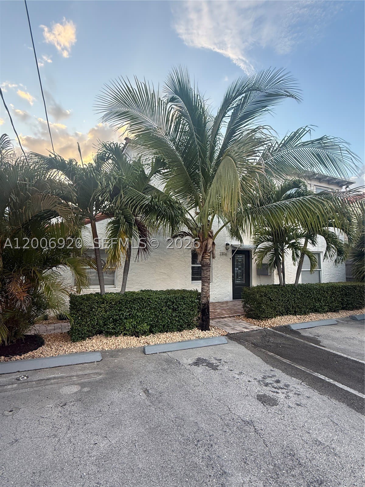 2816 Pine Tree Dr – photo 1