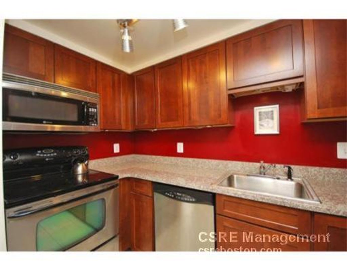 Nicely Renovated 3 bed in the heart of Fenway. – photo 1