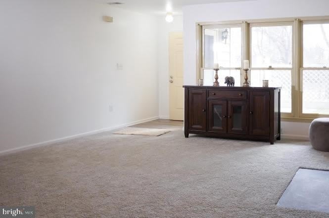 13018 SHADYSIDE LN #13-221 – photo 3