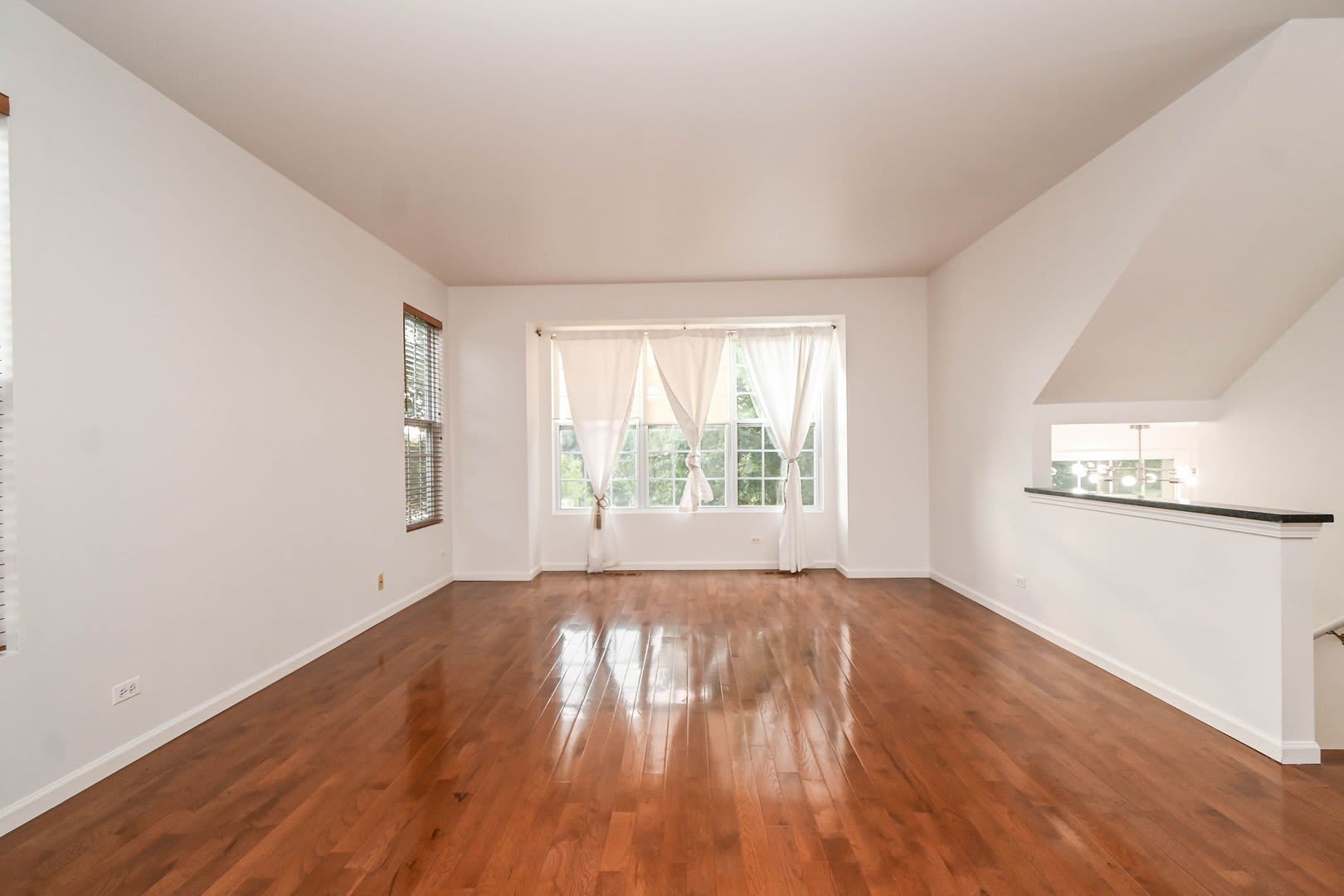 35 Thomas Court – photo 4