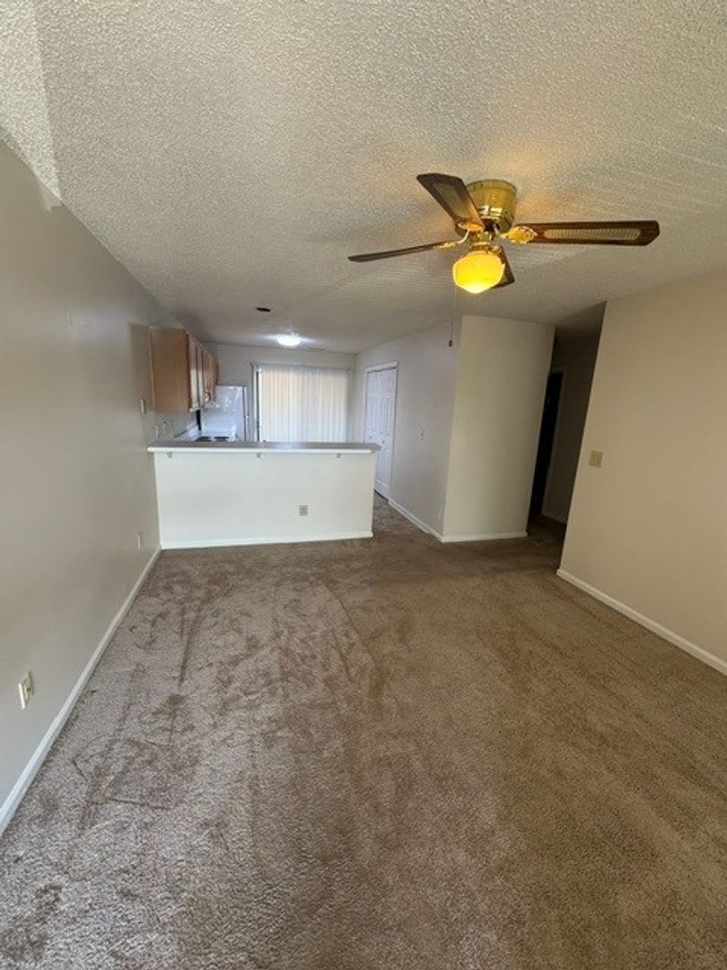 Ready To Move In – photo 4