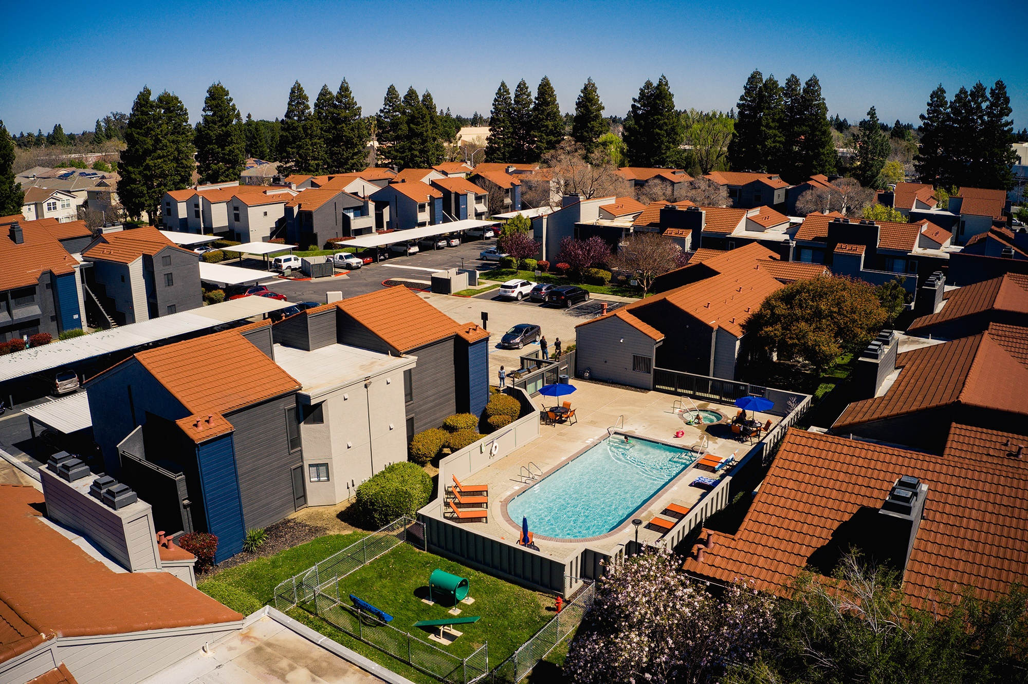 Renew on Summerfield – photo 1