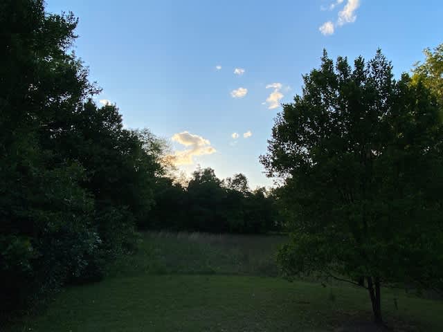 331 Black Ave – photo 5