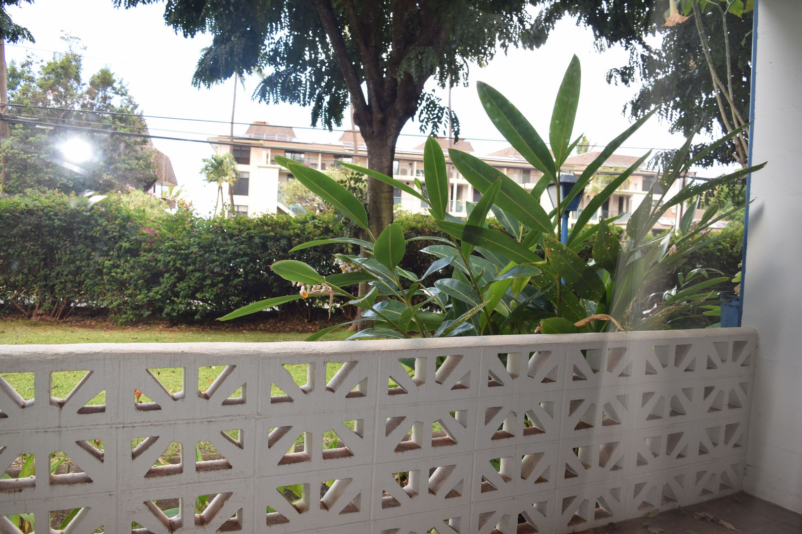 Leinani – photo 4