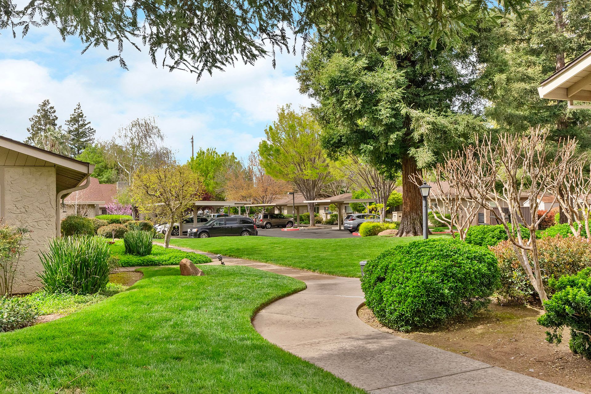 Cedar Springs – photo 3