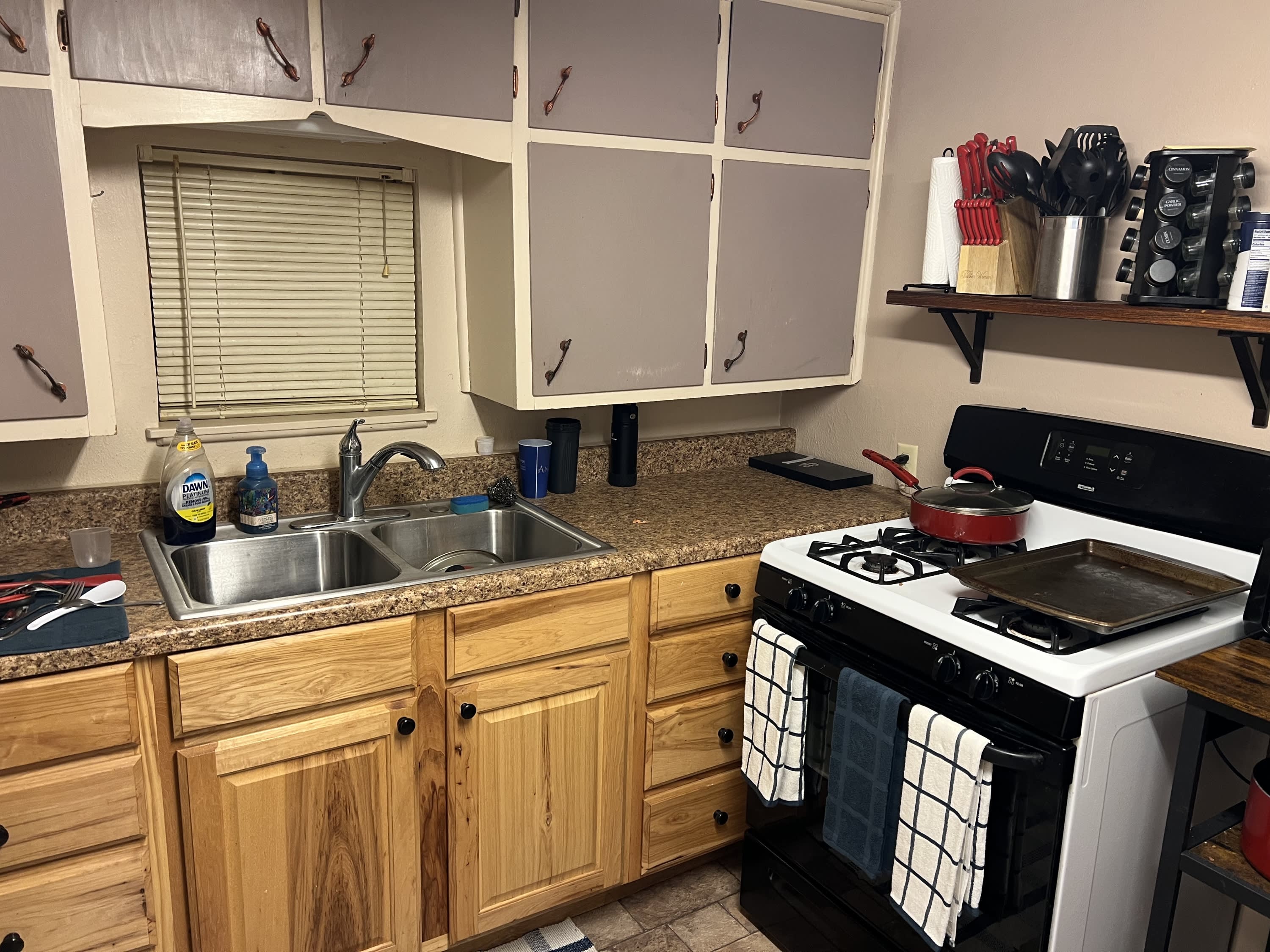 117 Wingfield StreetUnit A – photo 4