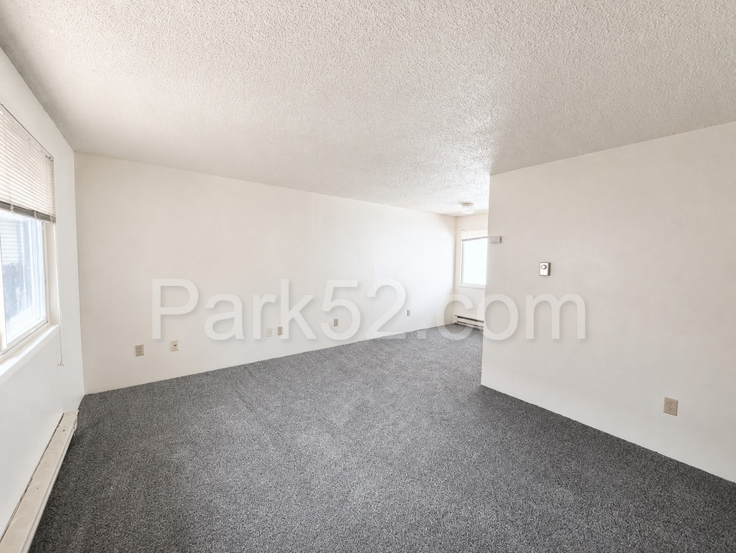 Indoor Cat Friendly Upper Level North Tacoma Apartment – photo 2