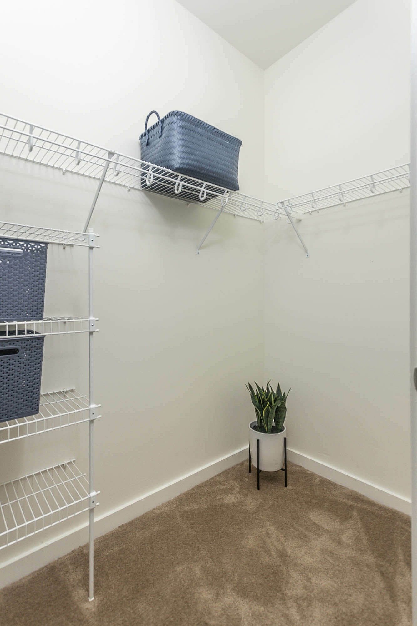 Colony Village Apartments – photo 3