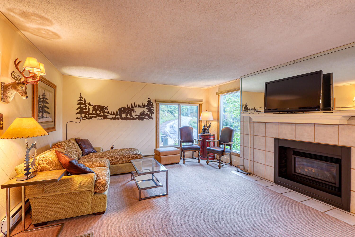1063 Vail View Drive – photo 4