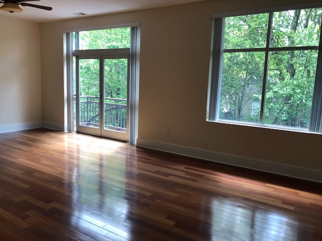 1 Bedroom in NoDa! – photo 4
