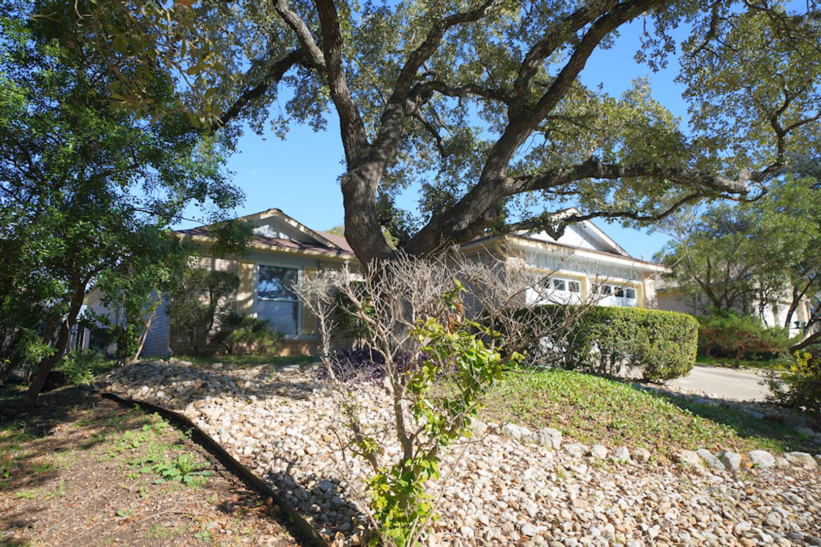 Impeccably Maintained 2/1 Now Available in San Antonio Realtor Commission: $400 – photo 3