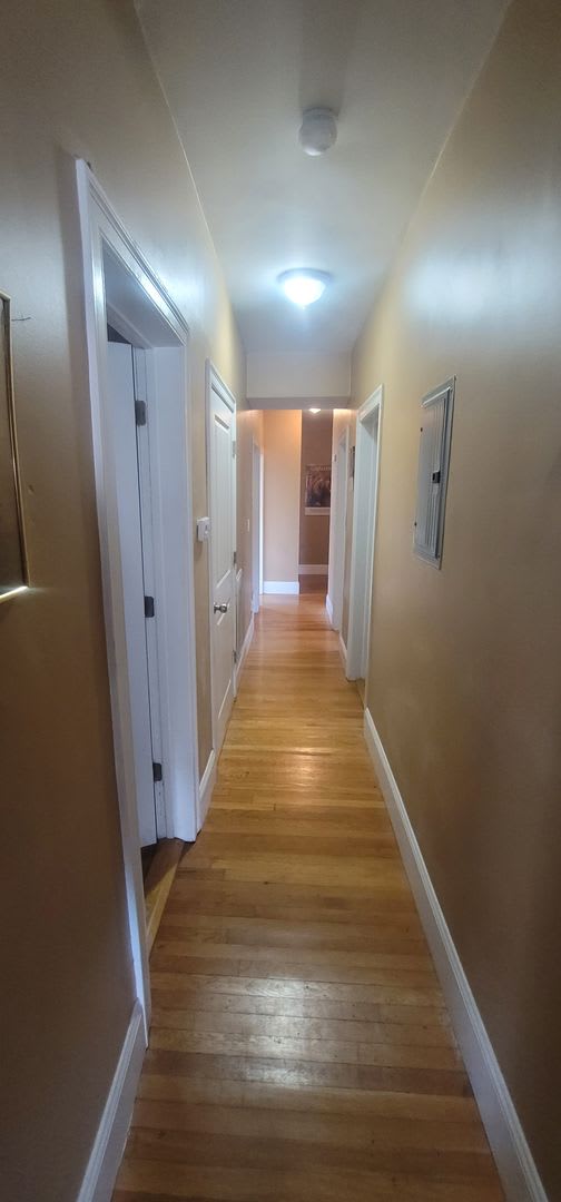 Massive Luxury Apt in Packards Corner Near BU! Central AC &amp; Heat, XL Rooms! – photo 5