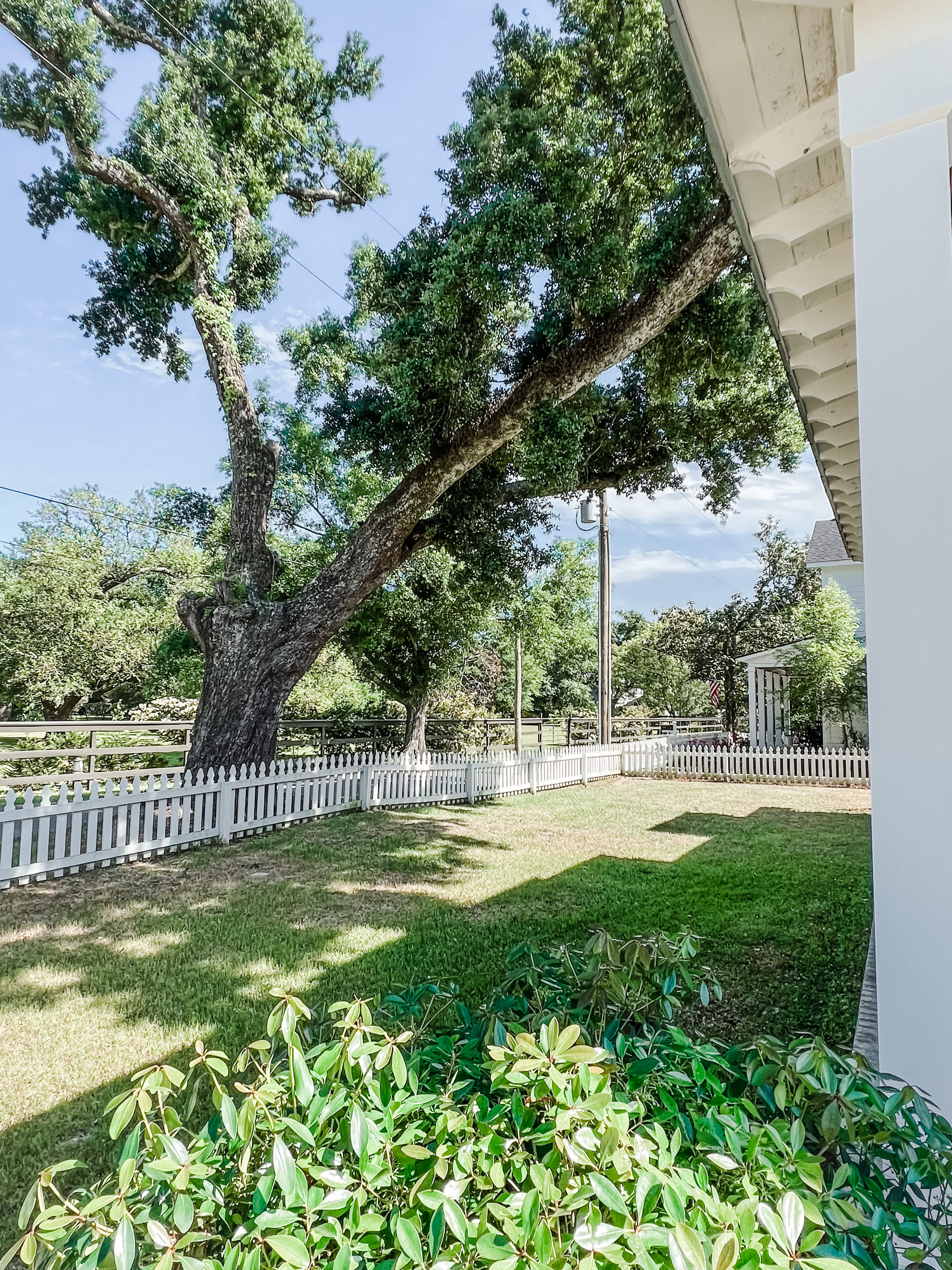 764 East Second Street – photo 4