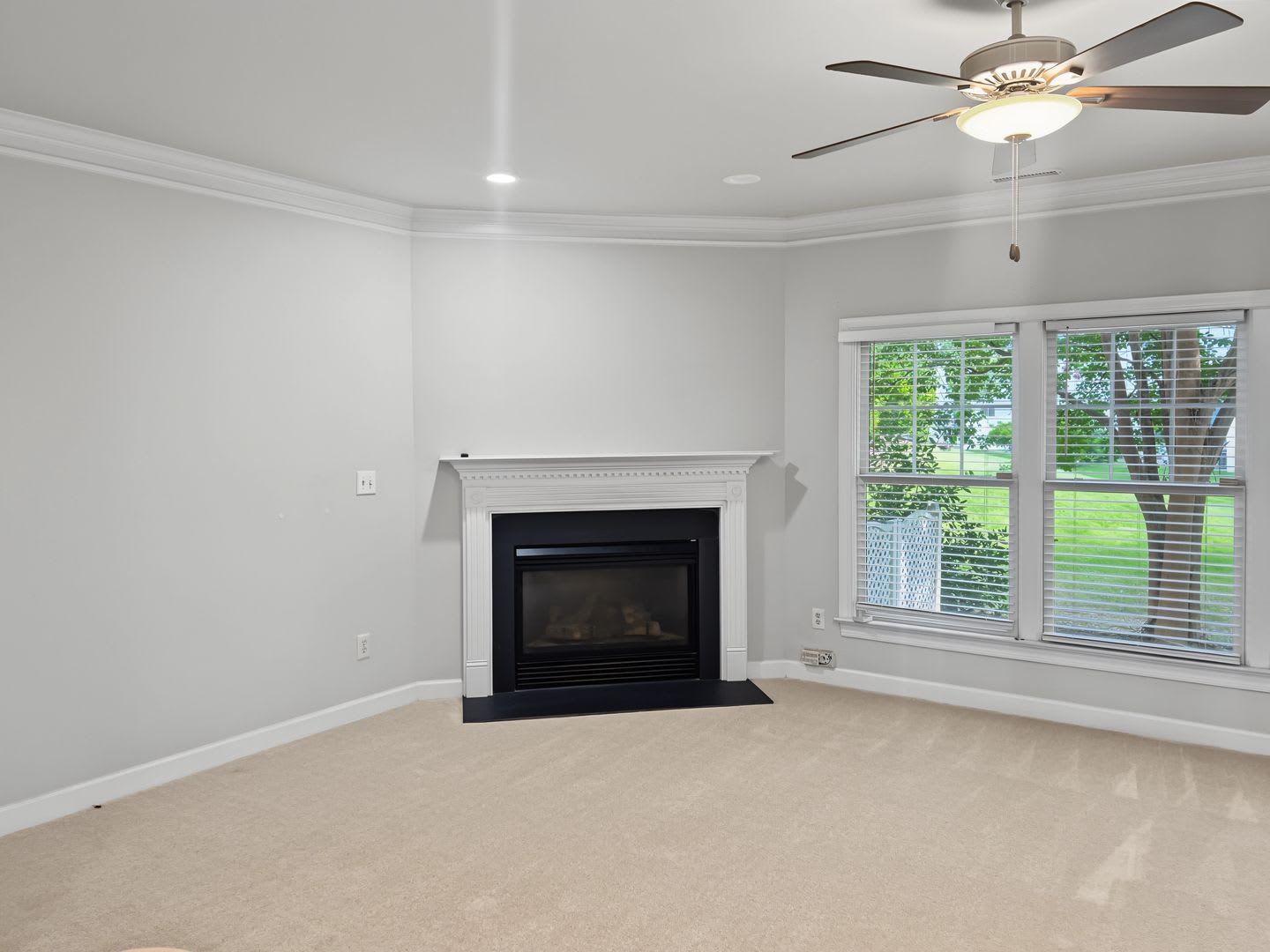 Brand New Carpet – photo 5