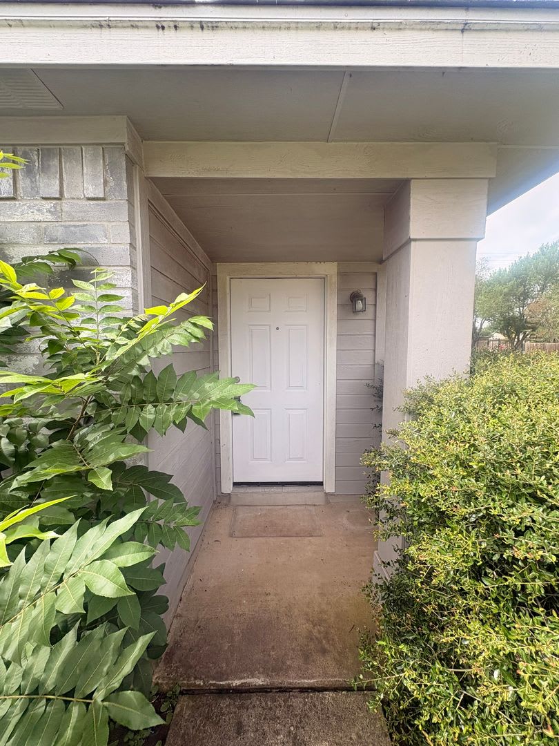 PFLUGERVILLE – photo 2