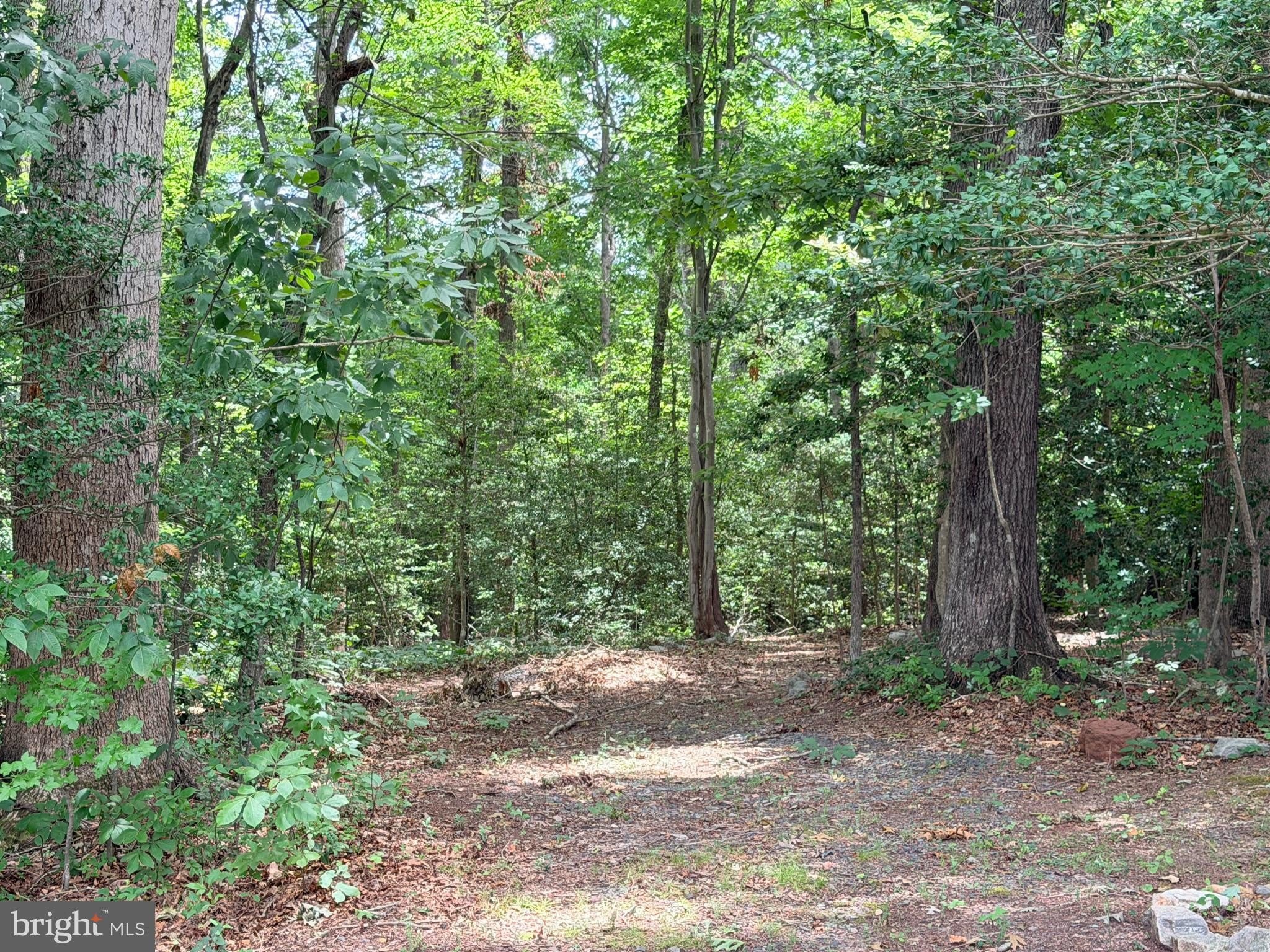 278 Richland Road – photo 2