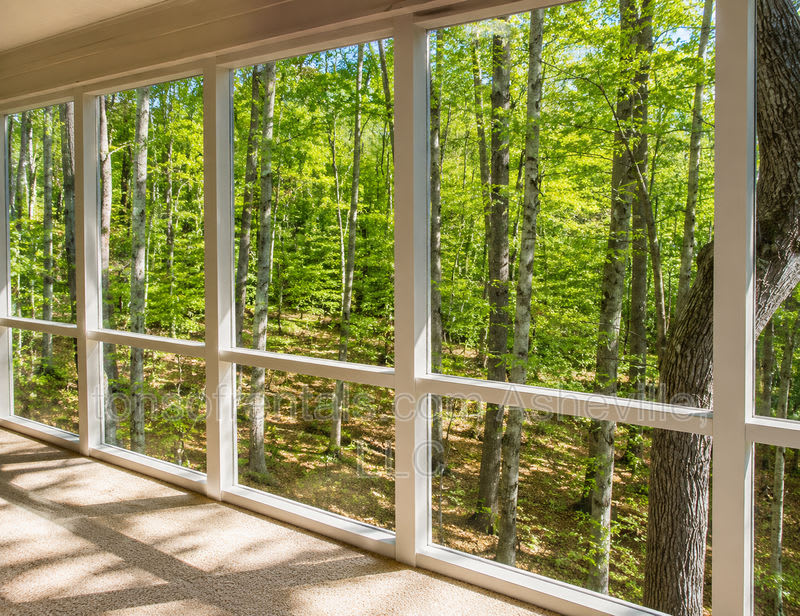 107 Jenny Lind Drive – photo 4