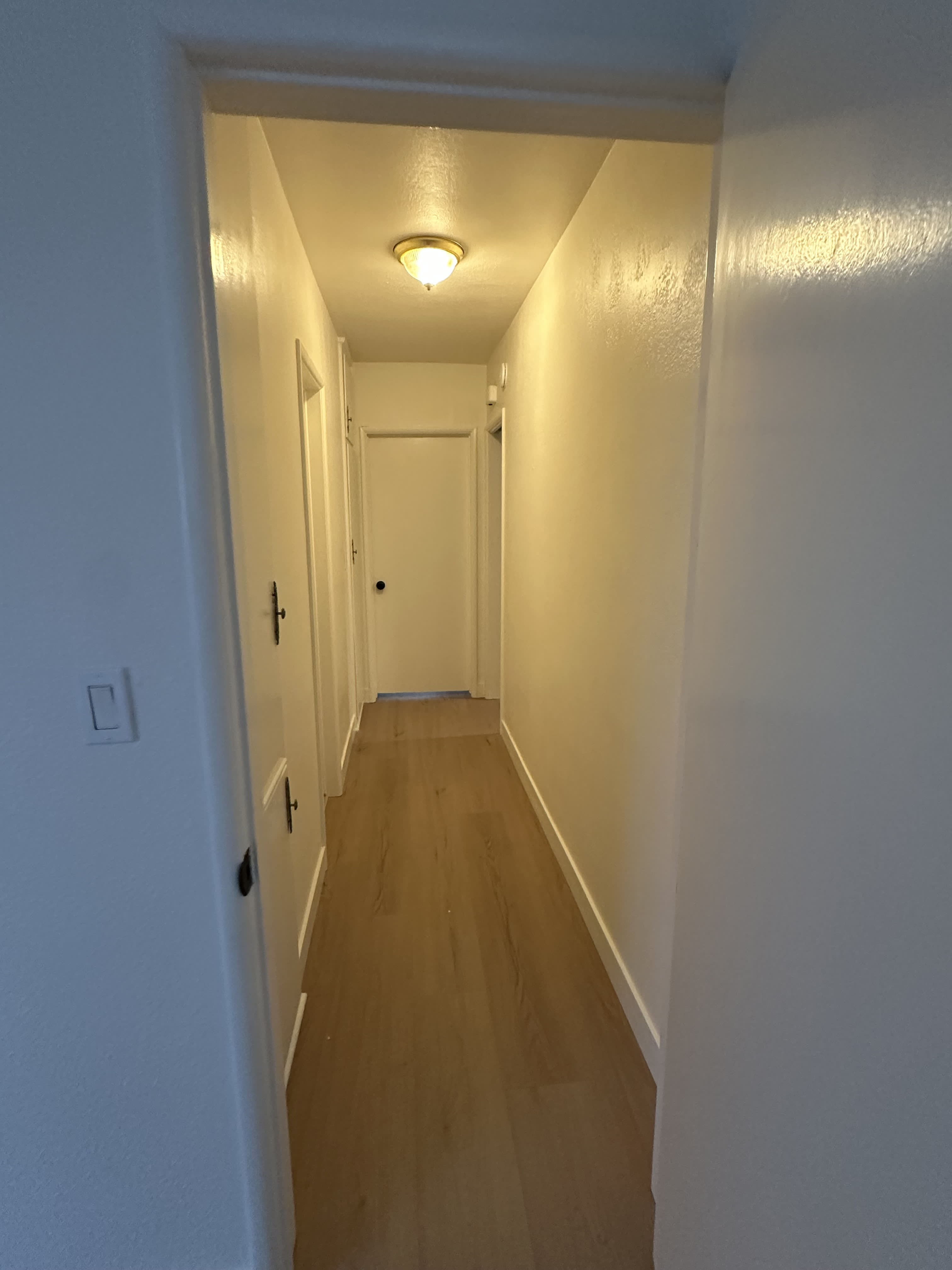 2023 Chivers Street – photo 4