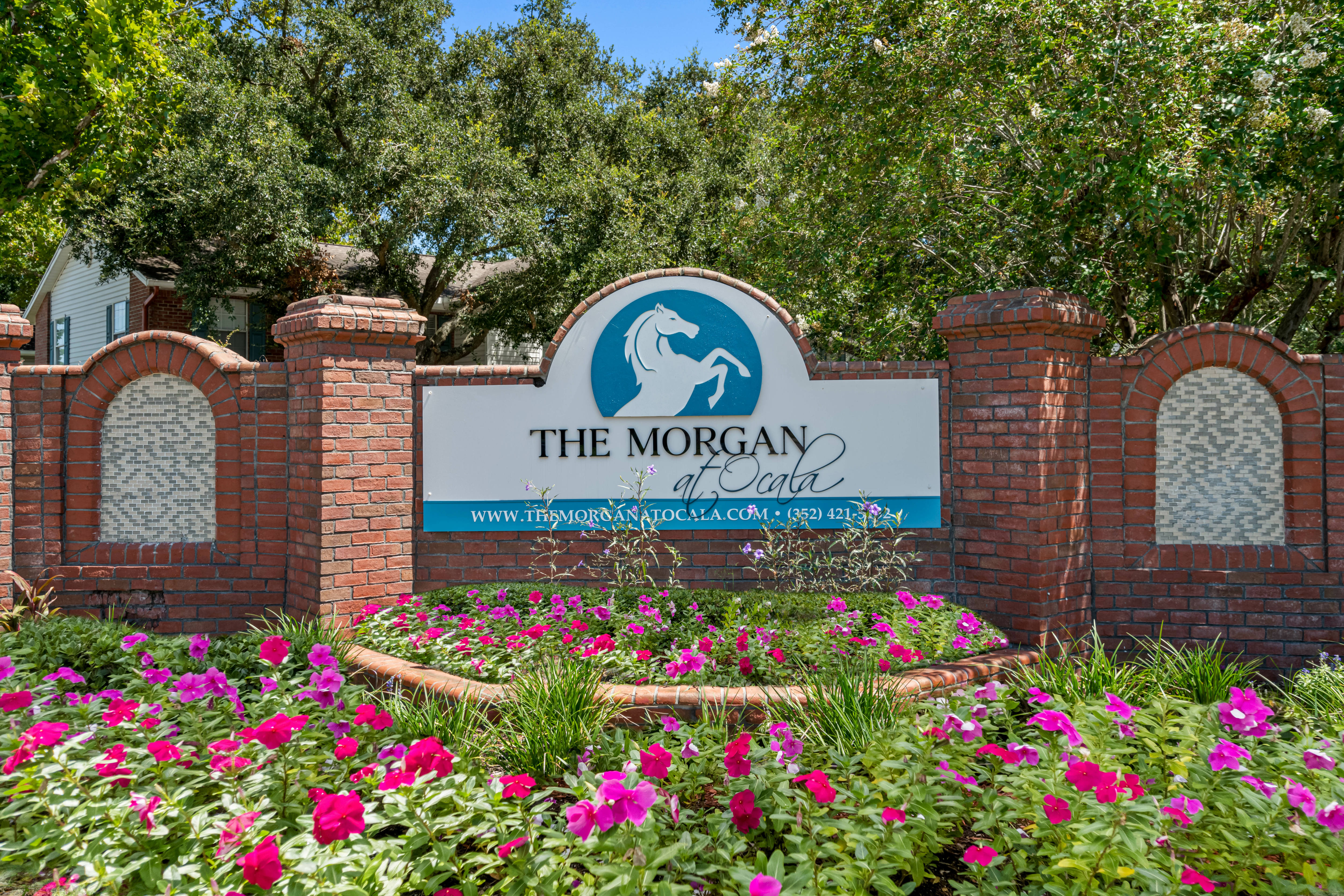 Morgan at Ocala – photo 3