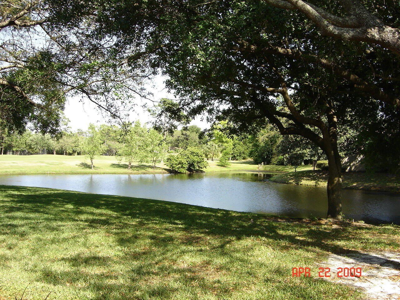10123 CROSS GREEN Way – photo 5