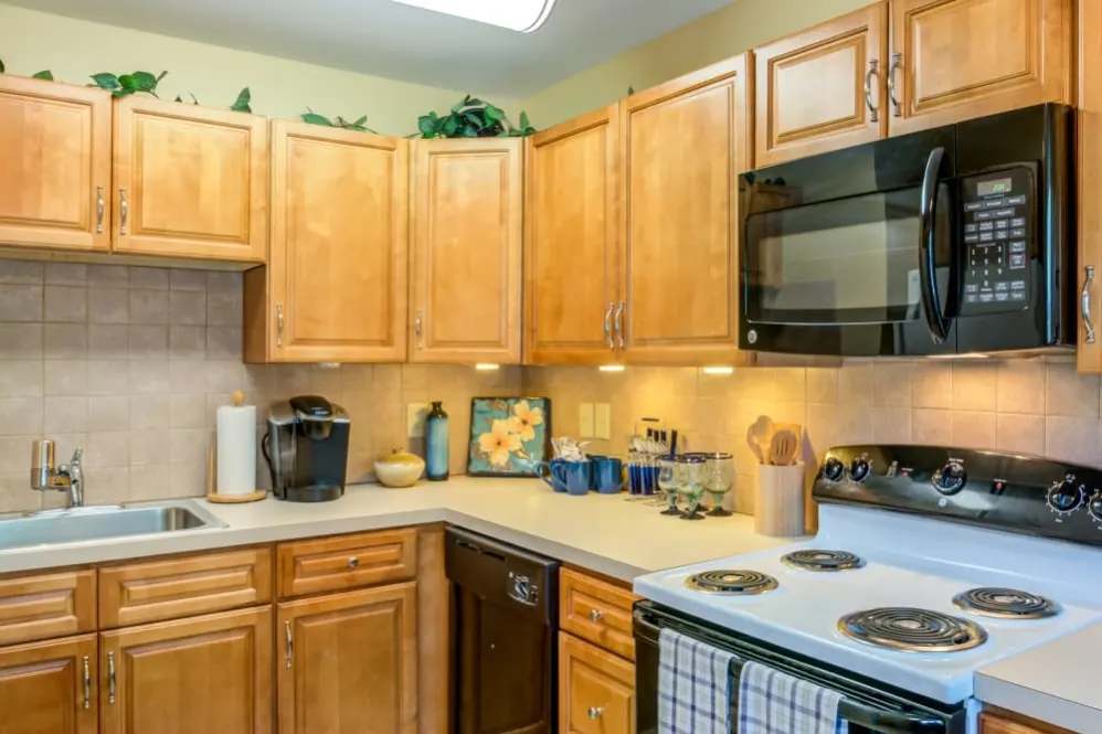 Park Apartments – photo 3