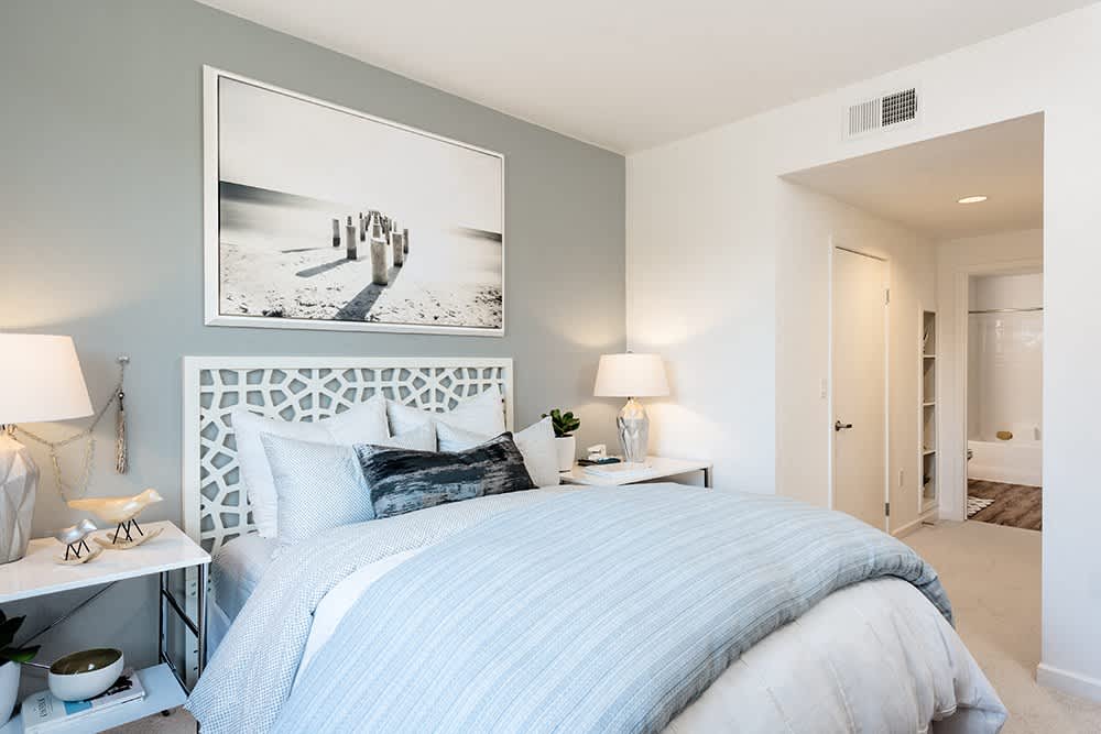 Apex Laguna Niguel – photo 3