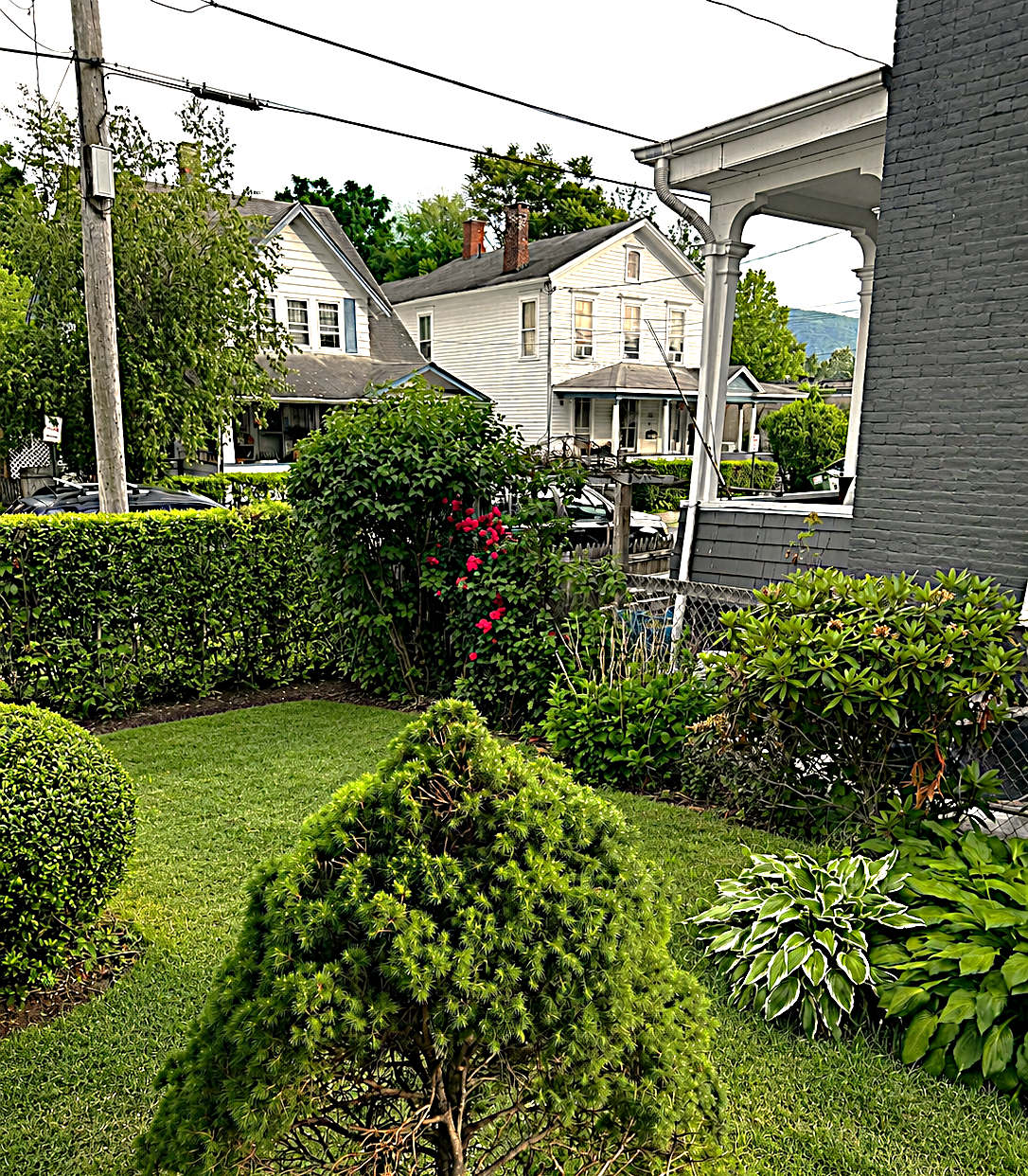 11 Hermance St – photo 2