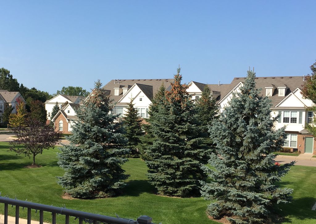 3215 Goldeneye Lane – photo 2