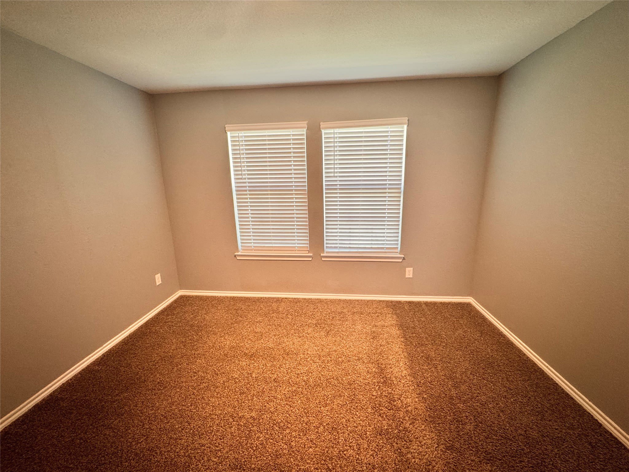 2900 Buttonbush Drive – photo 5
