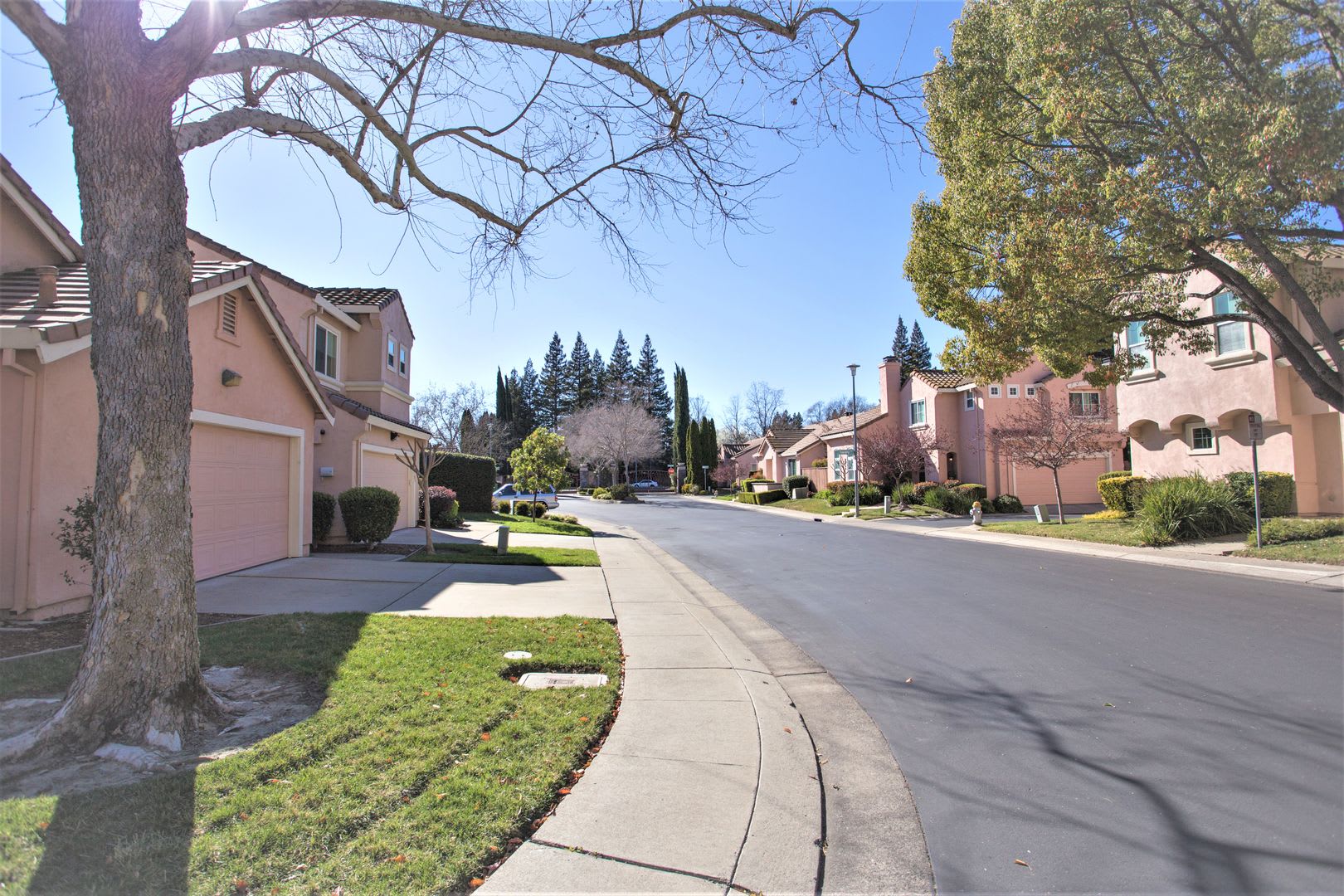 Gorgeous 3 BR/ 2 Bath in Desirable Gated Community!! – photo 3