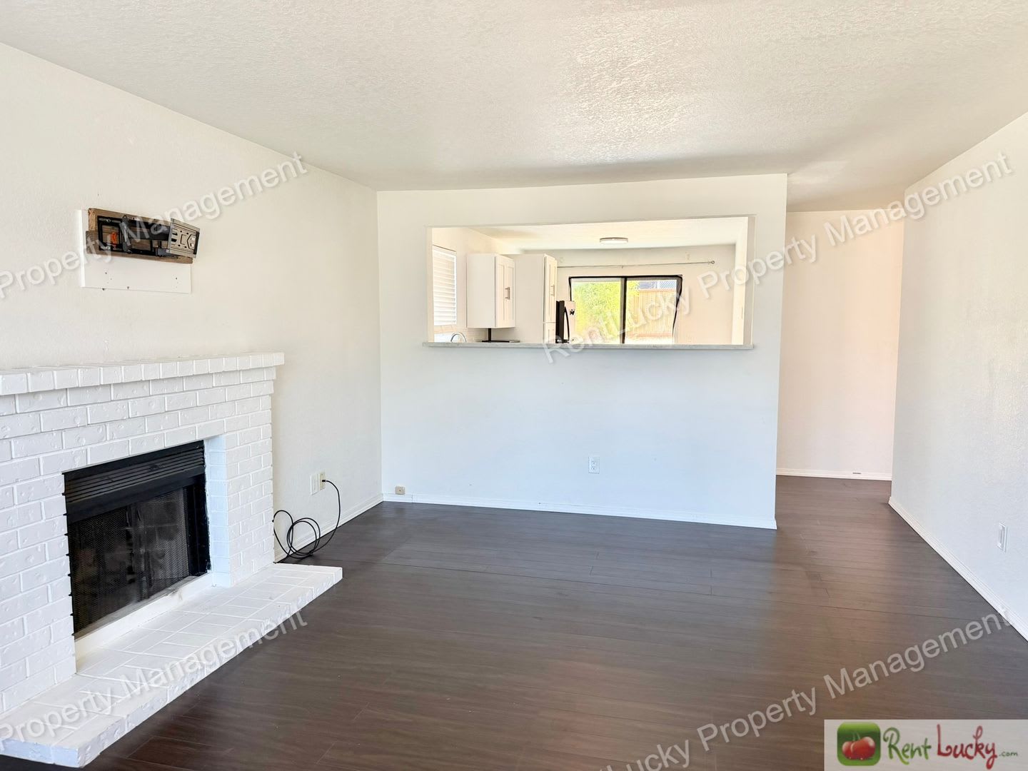 Great 3 Bedroom Home in NE Tacoma with Large Backyard! – photo 3