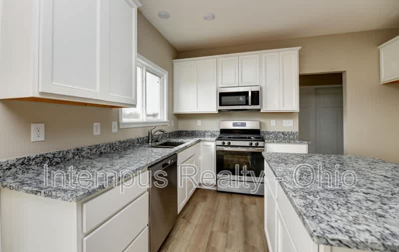 1003 Beehive Grv – photo 5