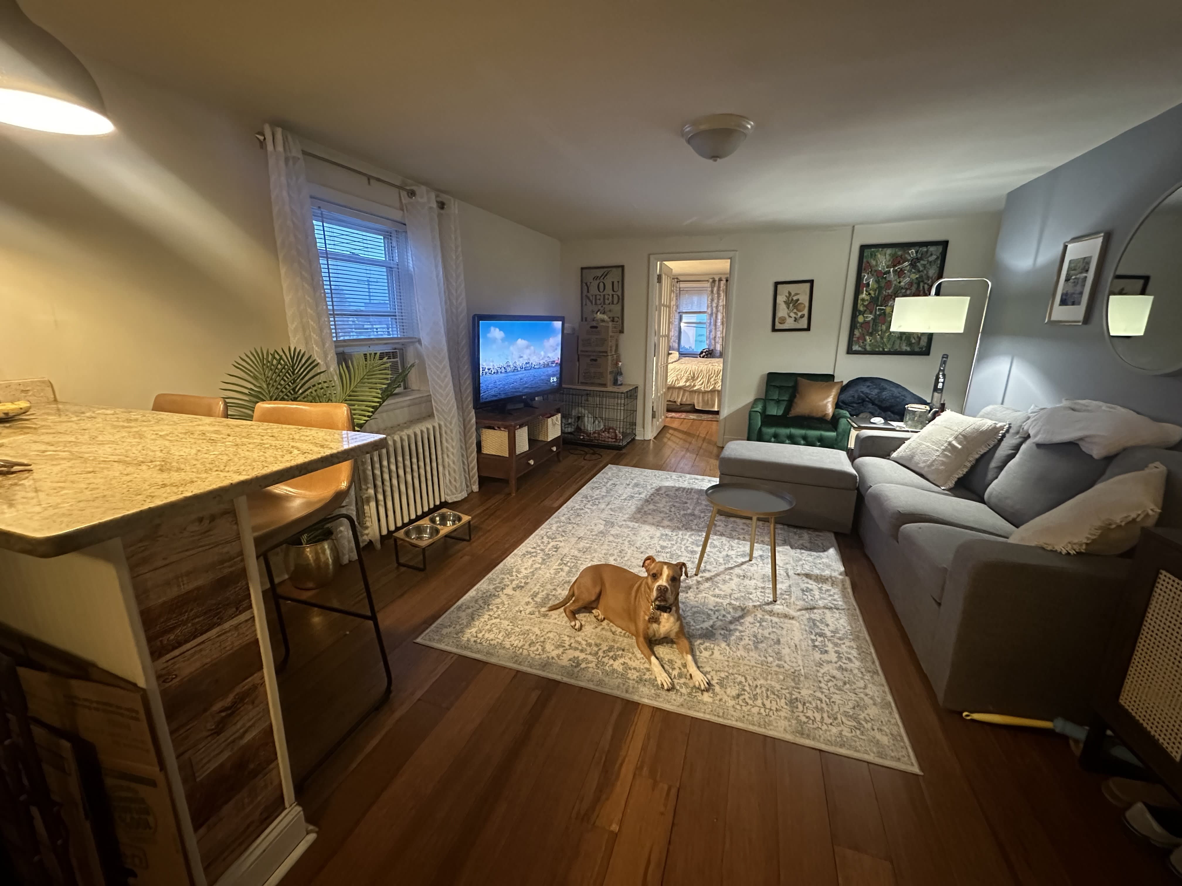 1106 E Moyamensing Ave – photo 4