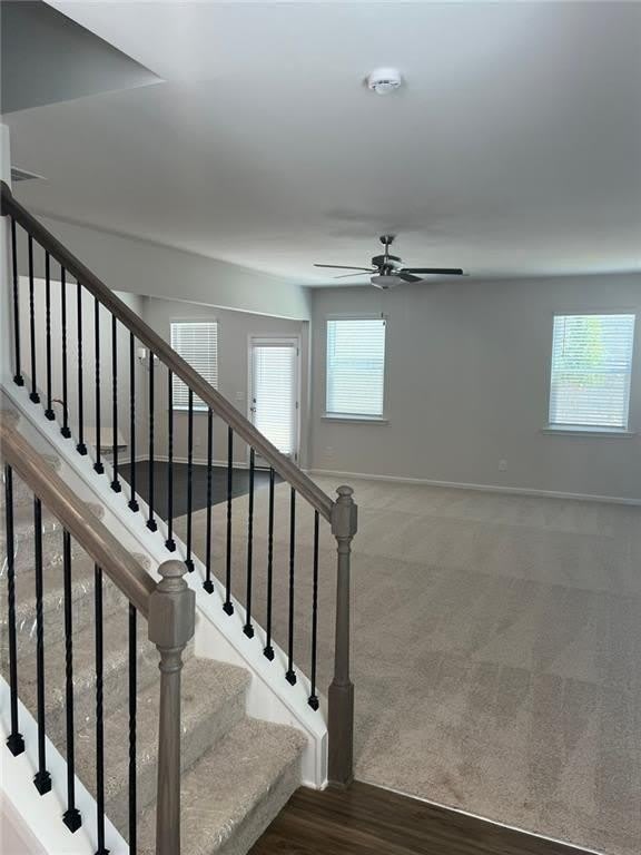 127 Berry Drive – photo 3