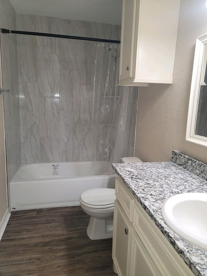 4 Bedroom 2 Bath in The Avenues – photo 4