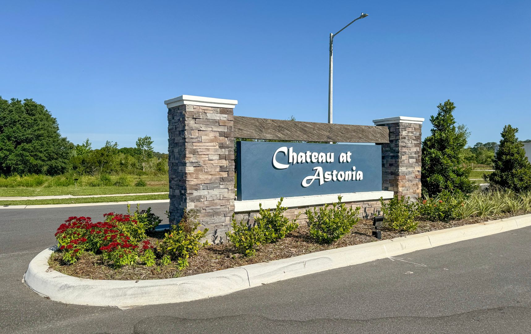 Chateau at Astonia Townhouse – photo 2